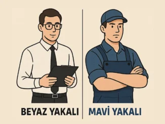 beyaz yakalı ne demek, mavi yaka anlamı