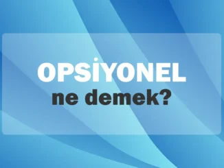 opsiyonel anlamı nedir