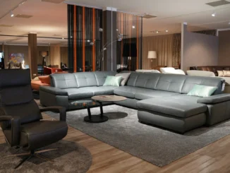 showroom ne demek anlamı