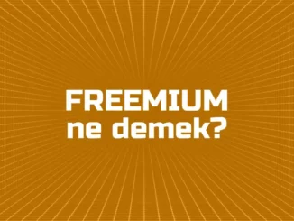 Freemium nedir