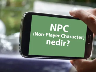 Oyuncu Dışı Karakter NPC Ne Demek