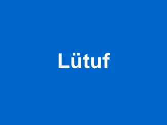 lütuf ne demek TDK anlamı